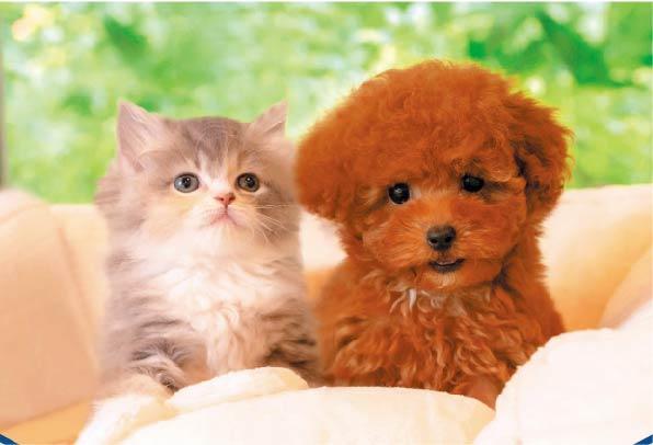 【導入企業紹介】株式会社AHB様