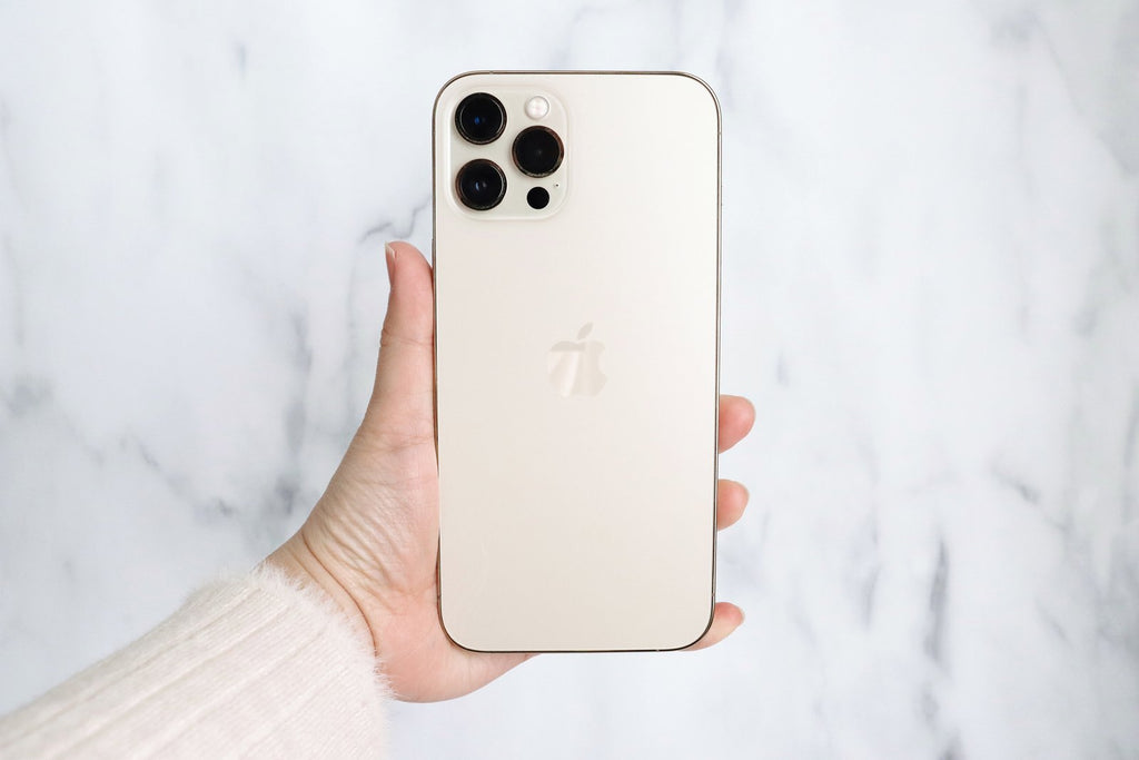 【写真講座vol.1】写真を簡単に明るくする方法【初心者向け】