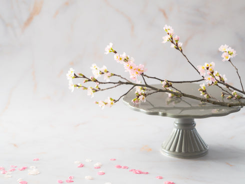 コンクリート "Pro"