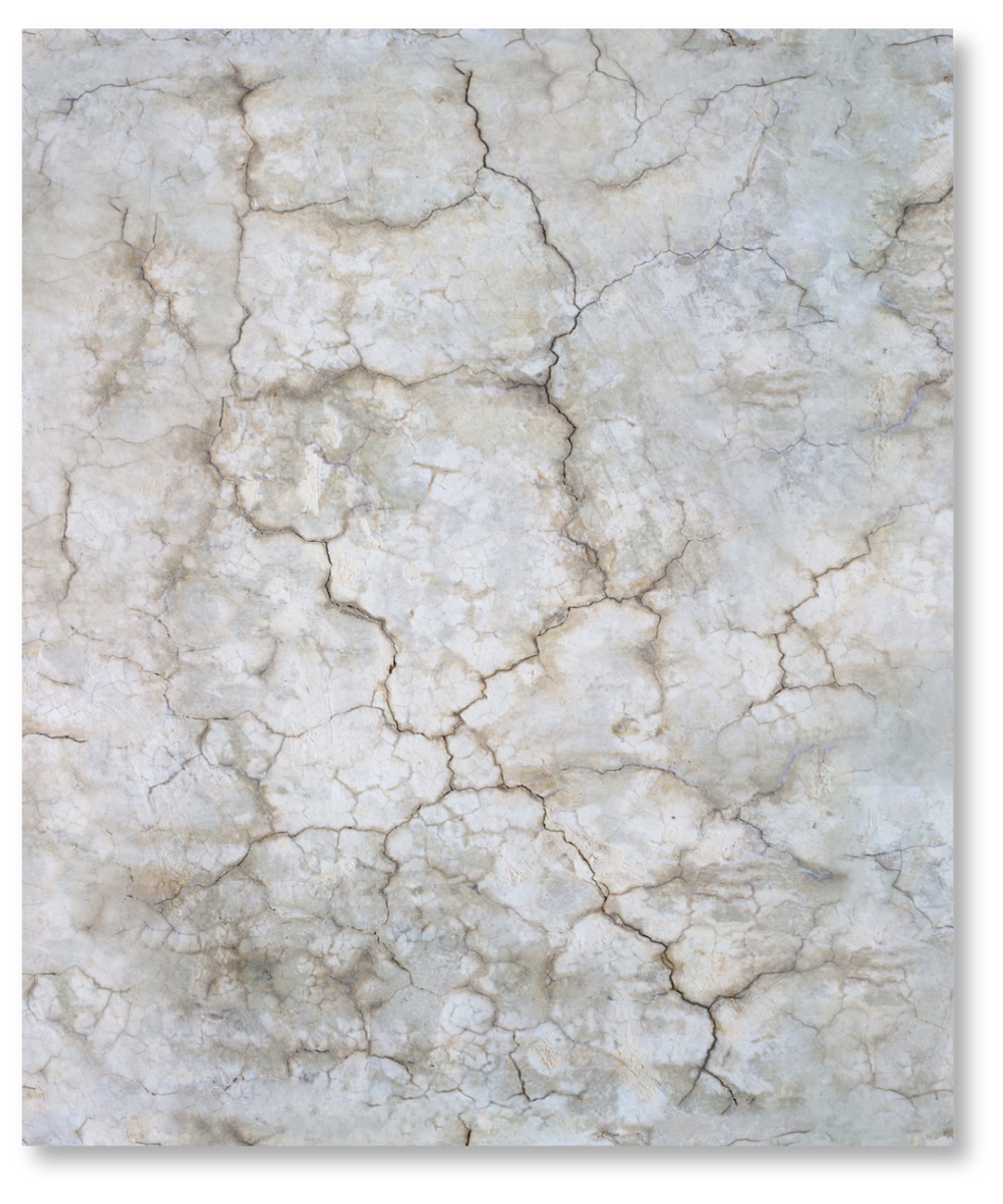 6_1f387b12-d31b-4ddd-8059-