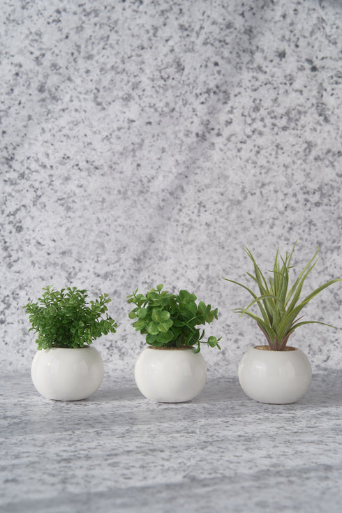 【受注生産品シート】グラナイト "Pro"