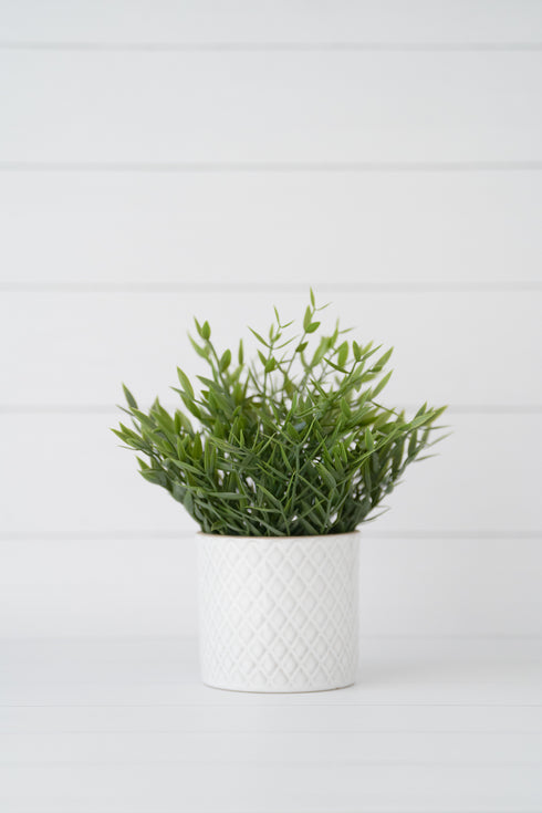 スノーウッド "Pro"