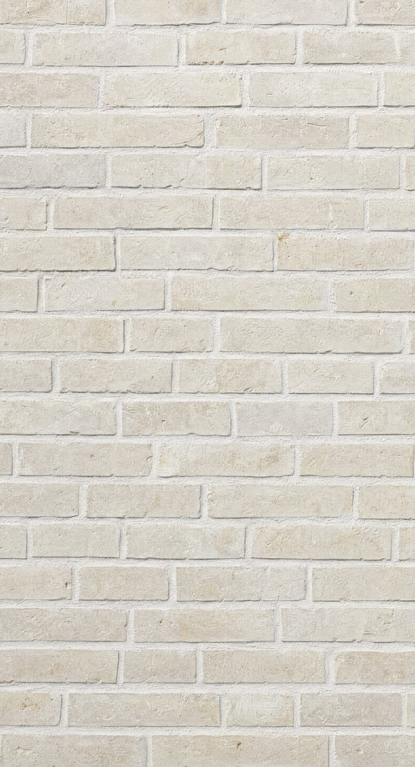 ベージュレンガ Pro Mサイズ 65×120cm 柄