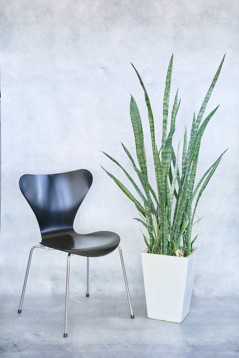 XLコンクリート