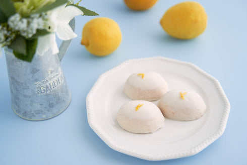 【受注生産品シート】パステルブルー "Pro"