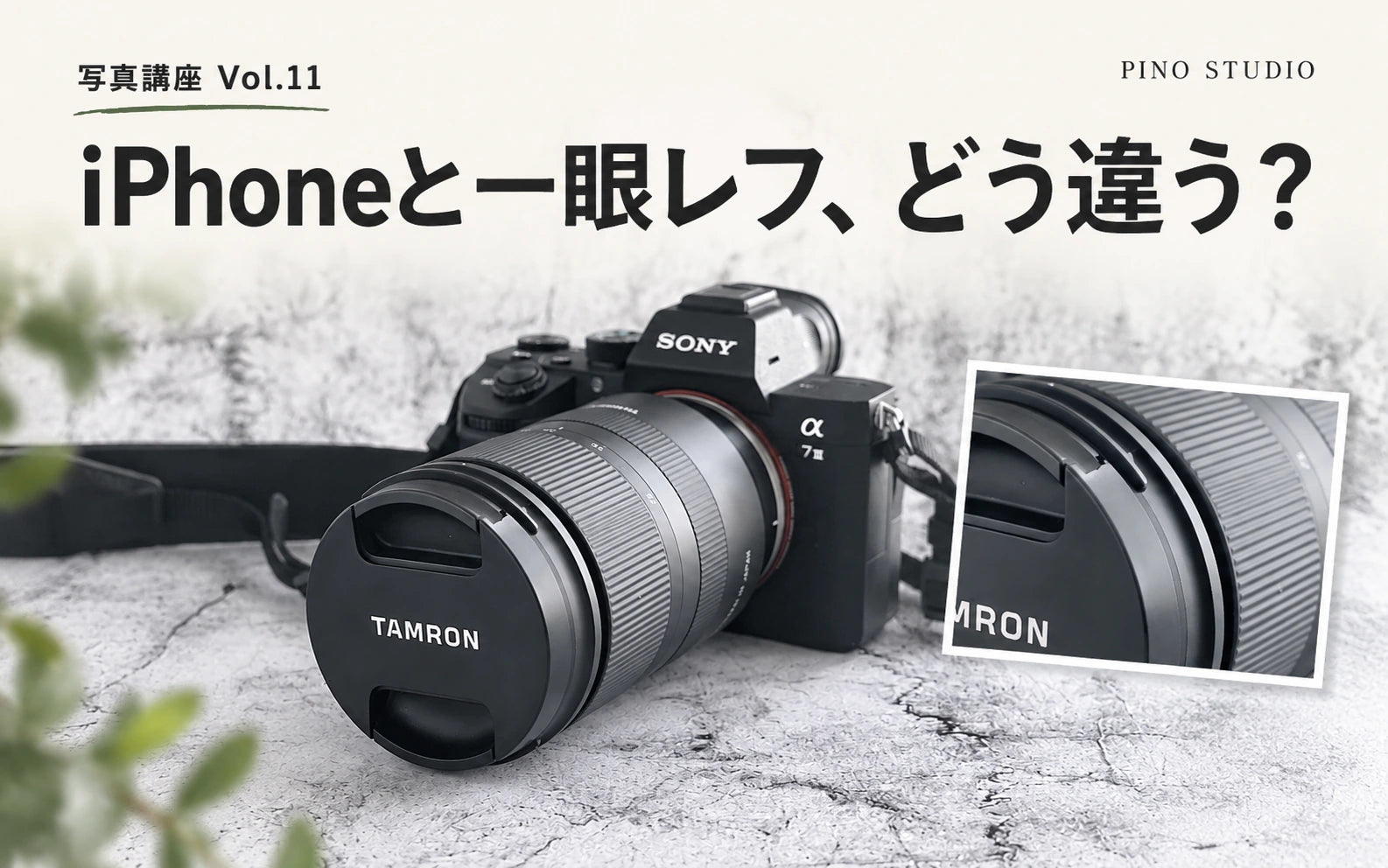 【写真講座Vol.11】iPhoneと一眼レフカメラの違い【初心者向け】